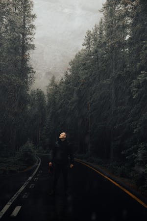 Matthew Rogers