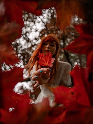 Annabelle Lewis