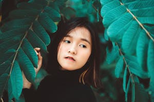 Dini Susanto