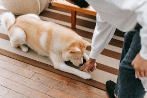 村上一樹