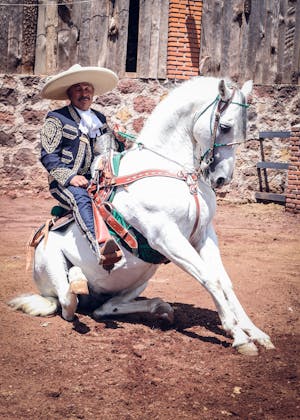 Diego Cortés