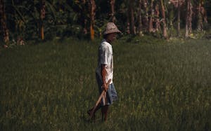 Iwan Saputro