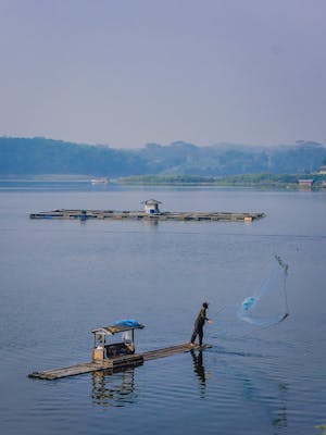 Budi Wibowo