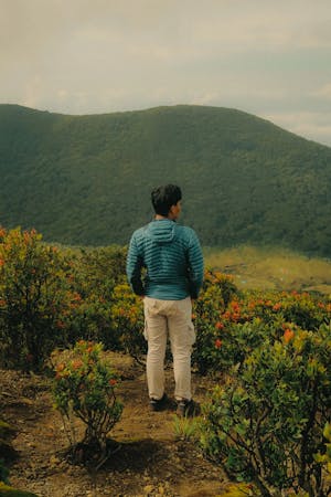 Taufik Surya