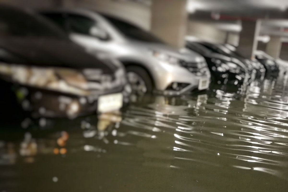 mobil bekas, risiko banjir, Jeffrey Andika, periksa sistem kelistrikan, Cara Deteksi Mobil Bekas Terendam Banjir