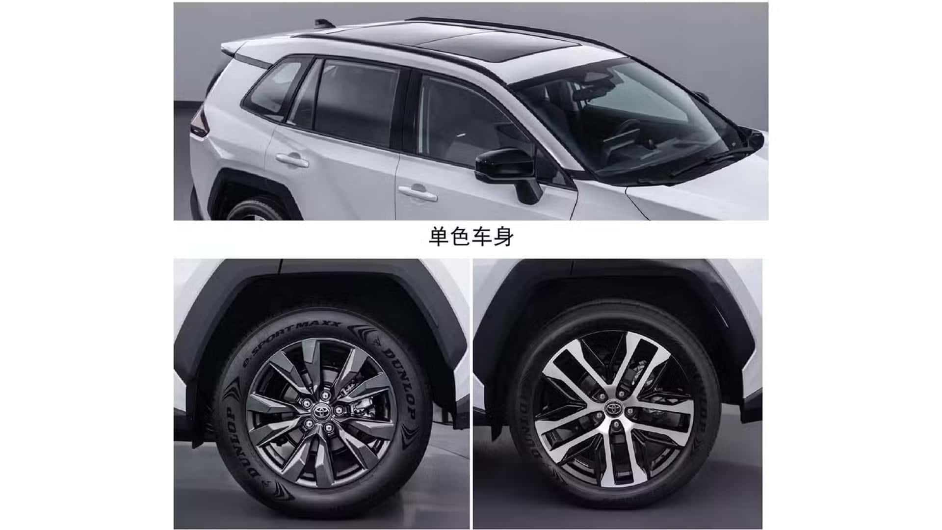 Toyota Wildlander (RAV4 chino) 2026
