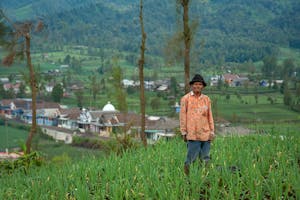 Hendra Utama