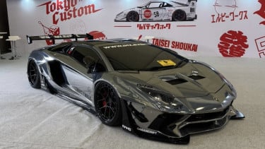 Lamborghini Aventador Raffi Ahmad